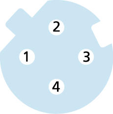 Receptacle Single-ended cordset, M12, female, straight, 4 poles, D-coded, back wall-mounting, shielded, Industrial Ethernet