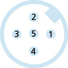 M12, Buchse, gerade, 5-polig, M12, Stecker, gerade, 5-polig, Sensor-/Aktorleitung