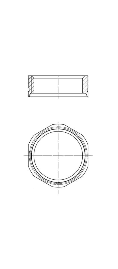 Ersatzmutter für Flansche, PG9, SW19