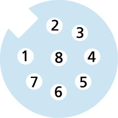 Panel feed through, M12, female, straight, 8 poles, M12, male, straight, 8 poles