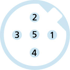 M12, Stecker, gerade, 4-polig, B-codiert, geschirmt, Profibus