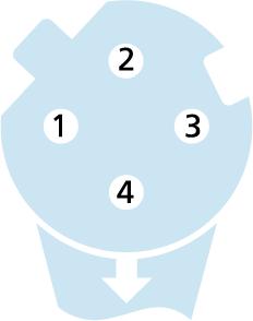 Flansch Verbindungsleitung, M12, Buchse, gewinkelt, 4-polig, D-codiert, M12, Stecker, gerade, 4-polig, D-codiert, geschirmt, rail approved