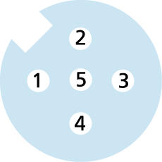 Konfektionierbar, M12, Buchse, gerade, 5-polig, Schraub-/Klemmanschluss, geschirmt, 60V 4A