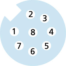 M12, Buchse, gerade, 8-polig, Edelstahl, Sensor-/Aktorleitung