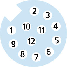 M12, Buchse, gerade, 12-polig, Sensor-/Aktorleitung