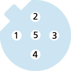 M12, Buchse, gerade, 4-polig, B-codiert, geschirmt, Profibus